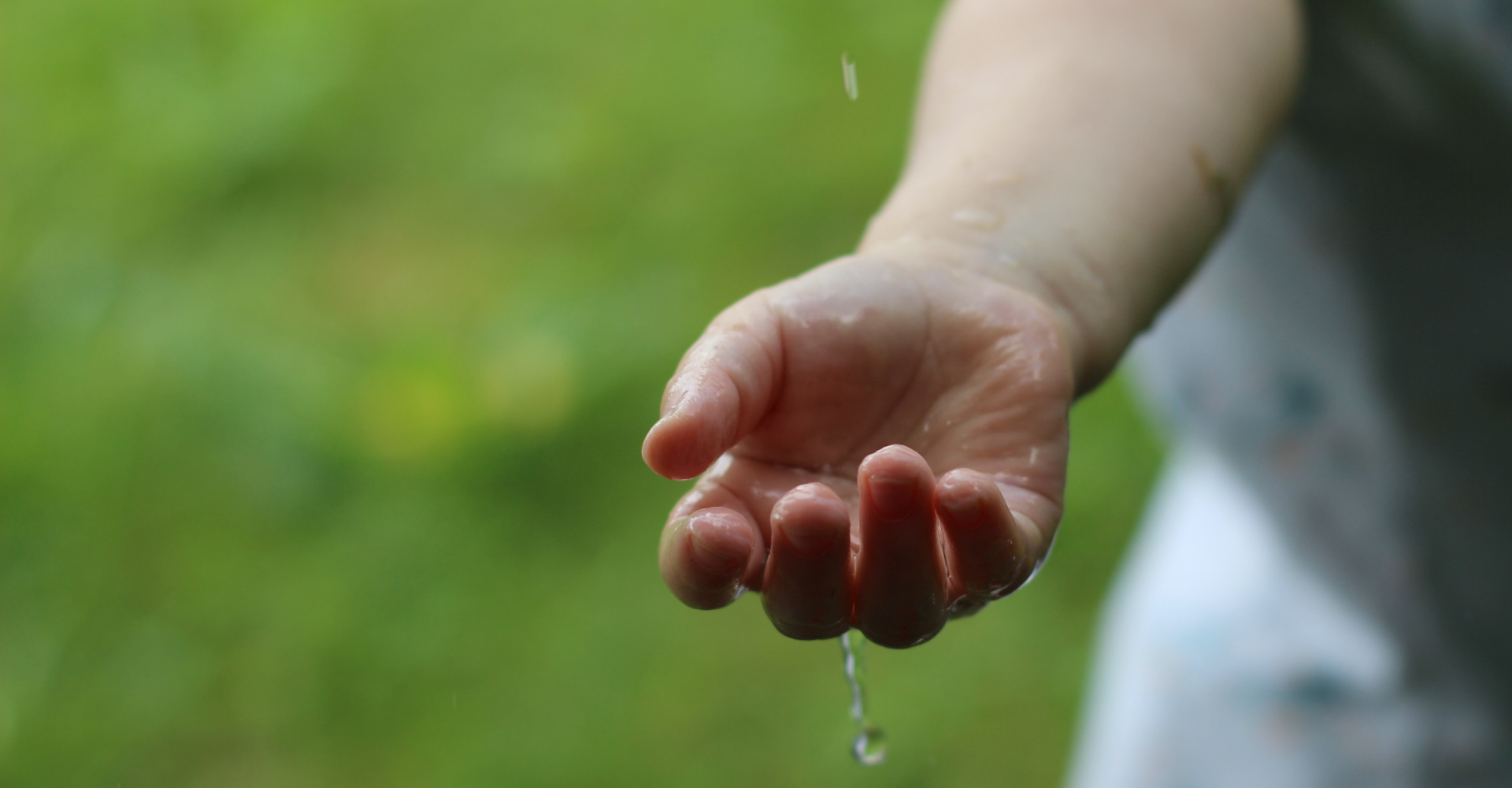 Header - May 11, 2021.png