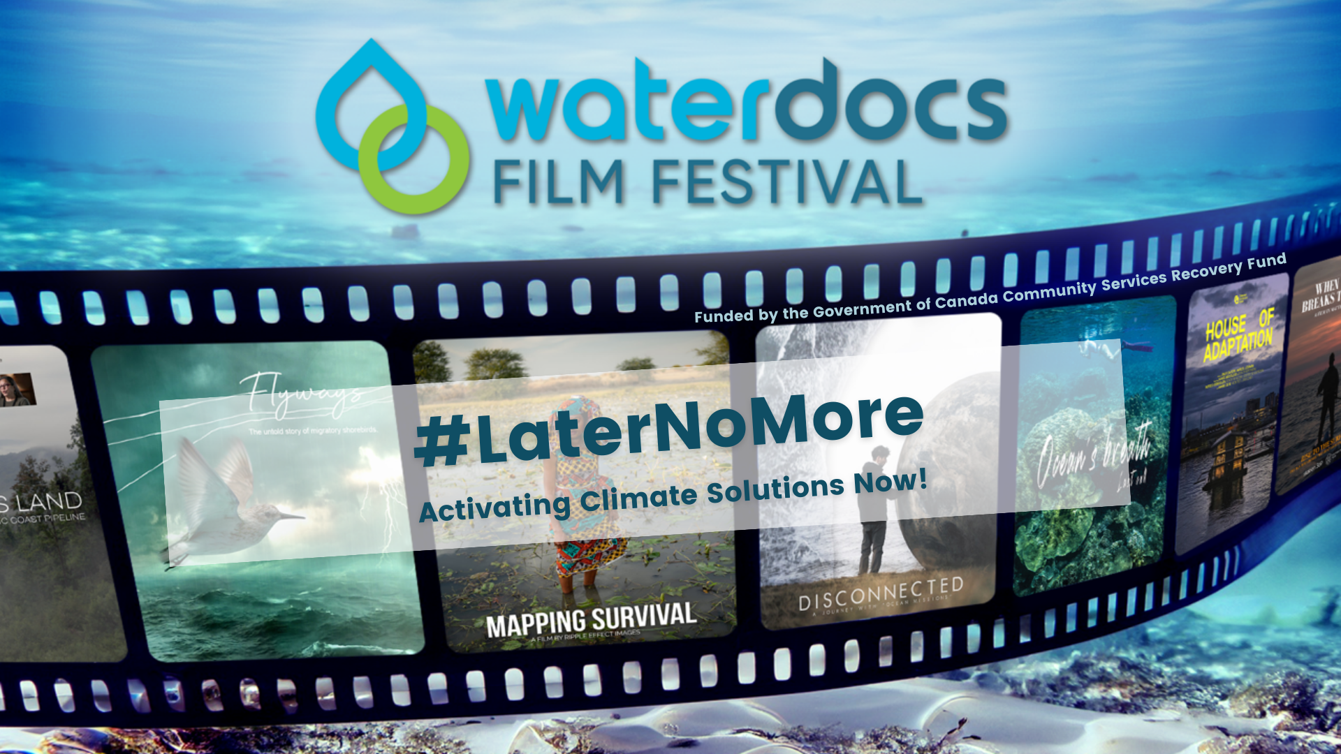 Main Image - LNM - WEB.png