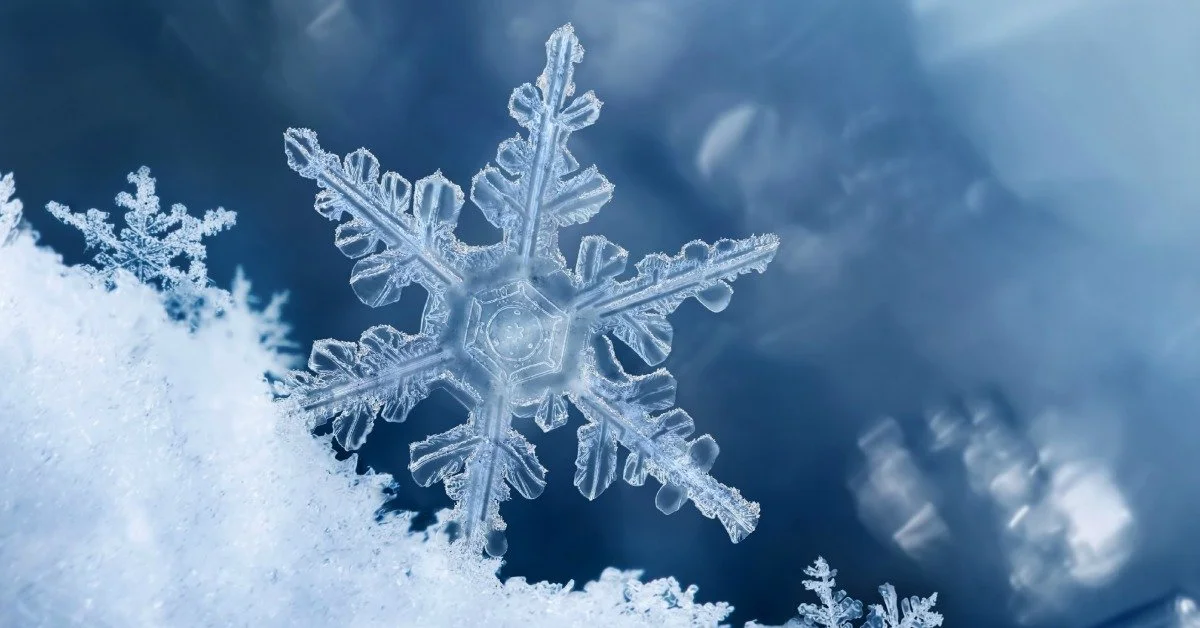 Beat the winter blues by going green