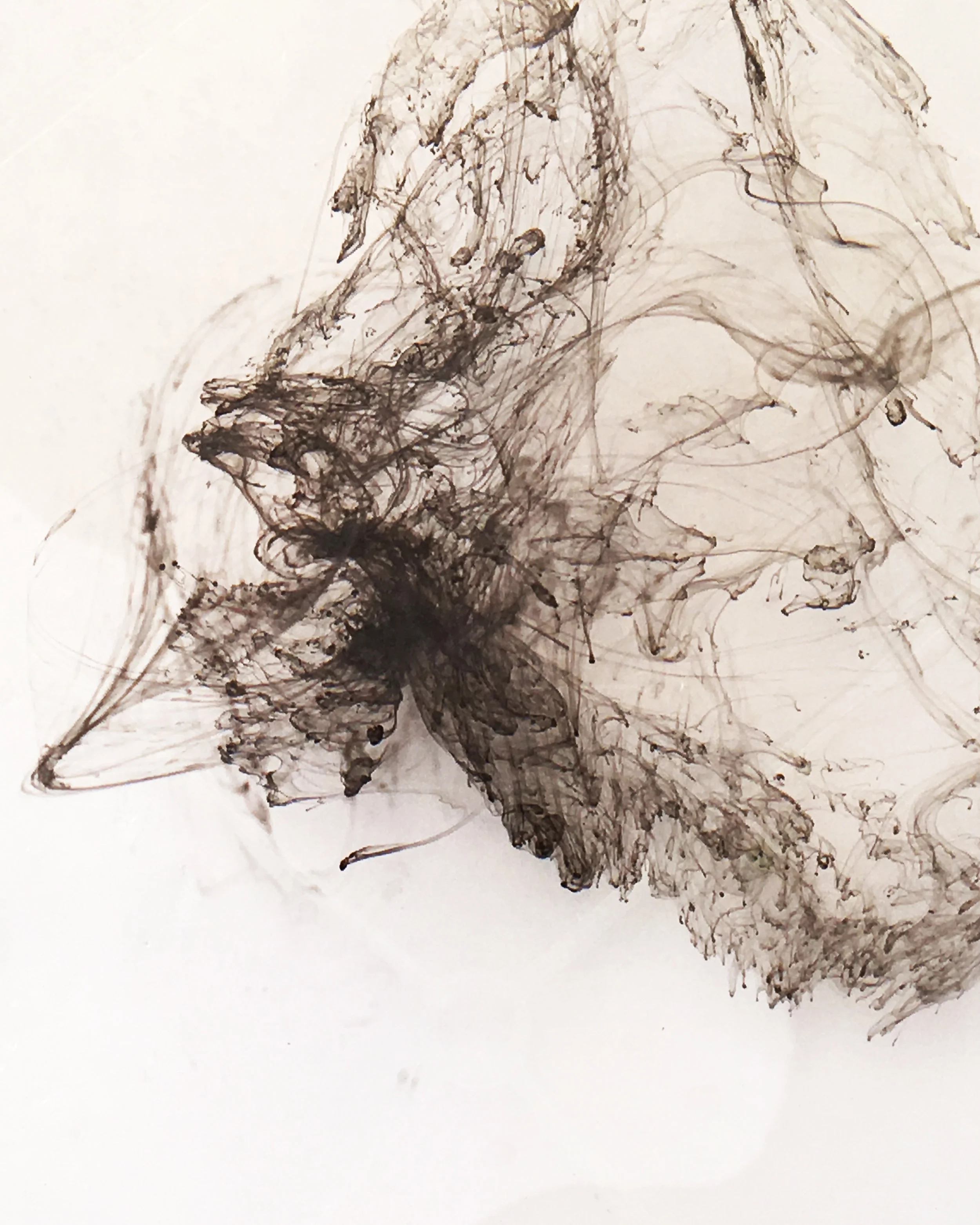 Unraveling Systems series explores interconnected systems that are falling apart and reinventing themselves within the context of human interaction. The work is reminiscent of weather patterns, oil spills, and island archipelago floating isolated in the vast expanse of water surrounding them. Pattern Forming 1, 2017 Photograph - ink flows on water ©kellycorrell