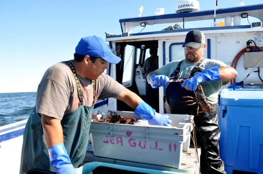 Fisheries_2.jpg