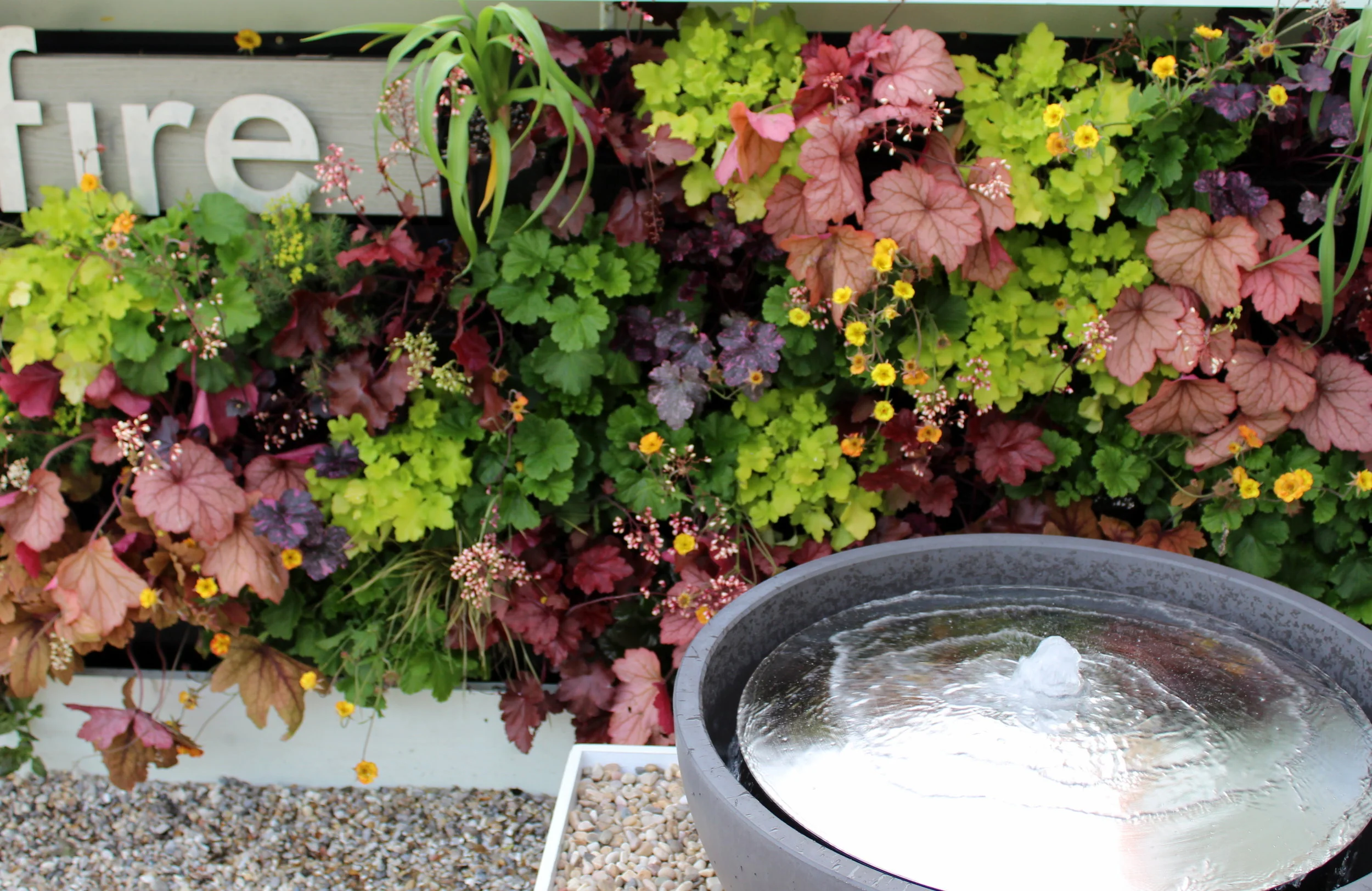 Fire Wall with Water Dome by Solus Decor and Living Wall by Green Matters UK
