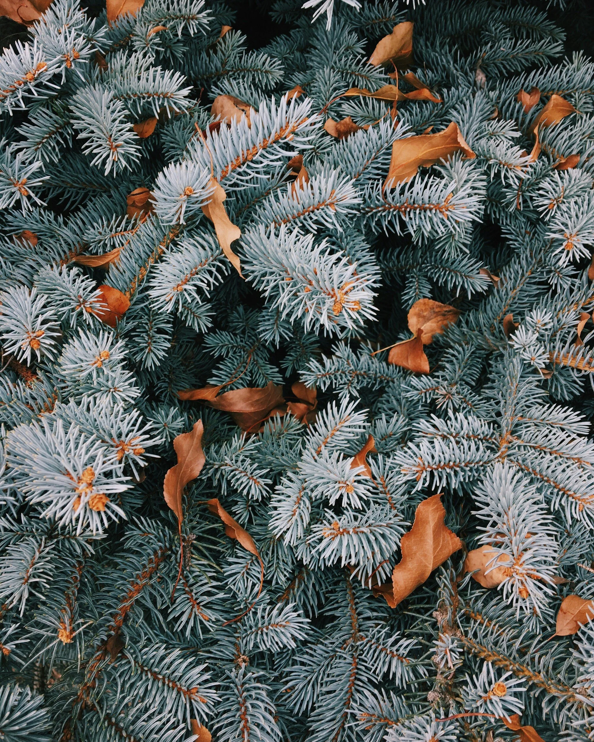 How We Helped a Home Service Company During the SLOW Season