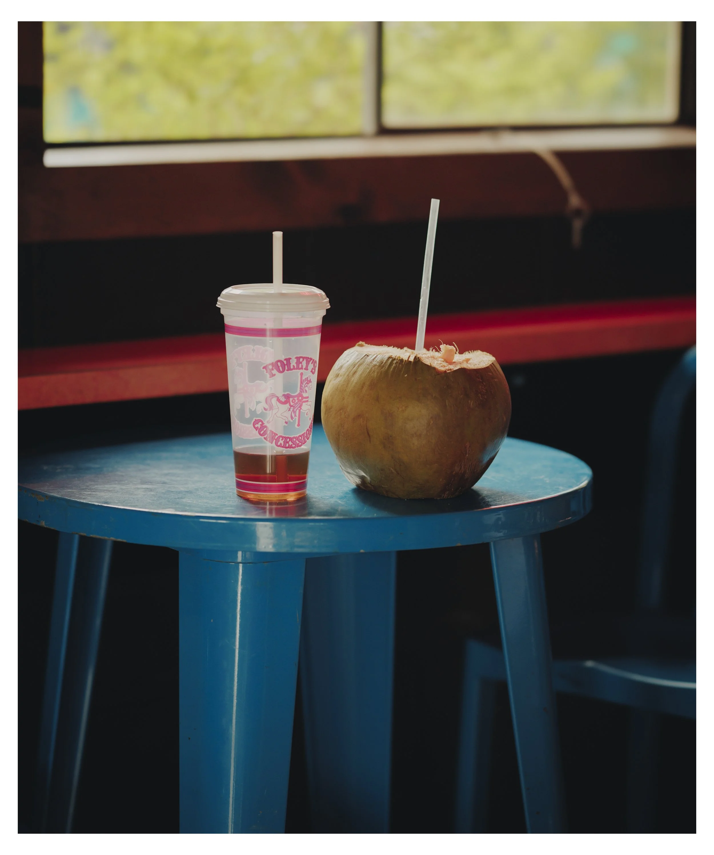 COUNTY FAIR PROJECT-4.jpg