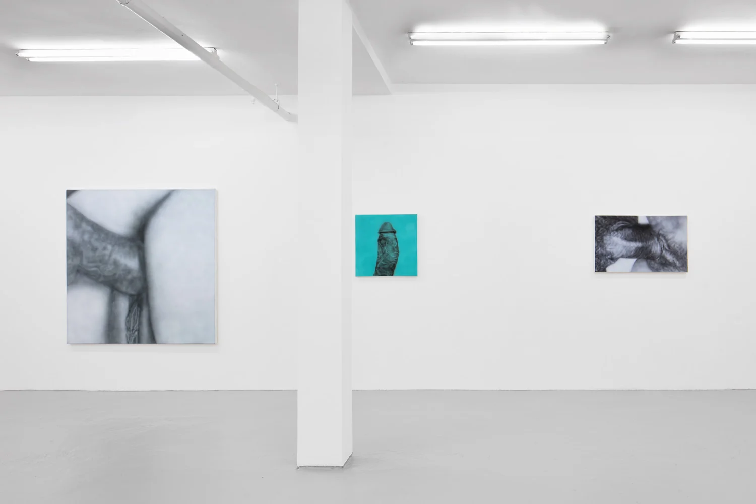 Install view 04 Betty Tompkins Fuck Paintings, Etc at J HAMMOND PROJECTS 2019.jpg
