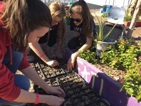 RYLA Service Project