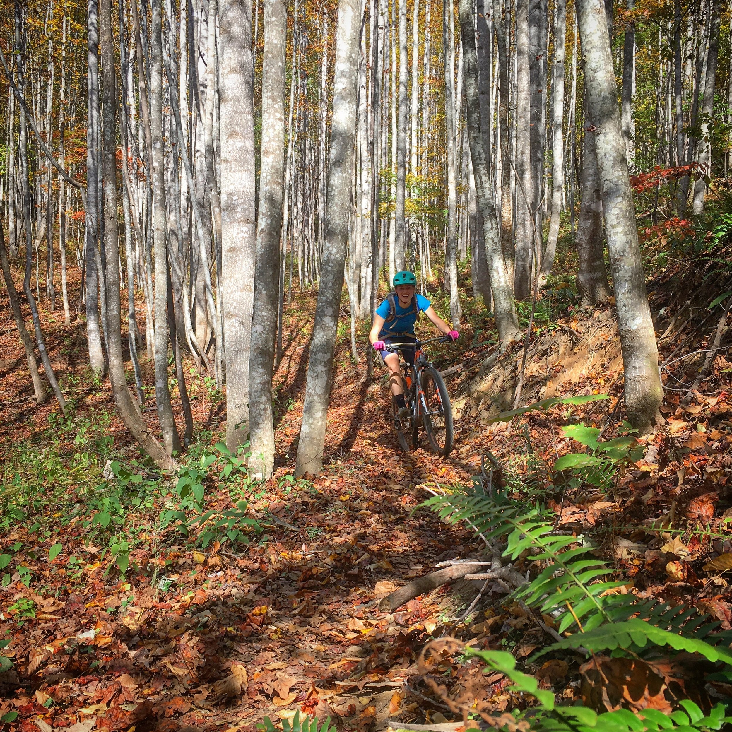 Leaf surfing down Spencer Gap