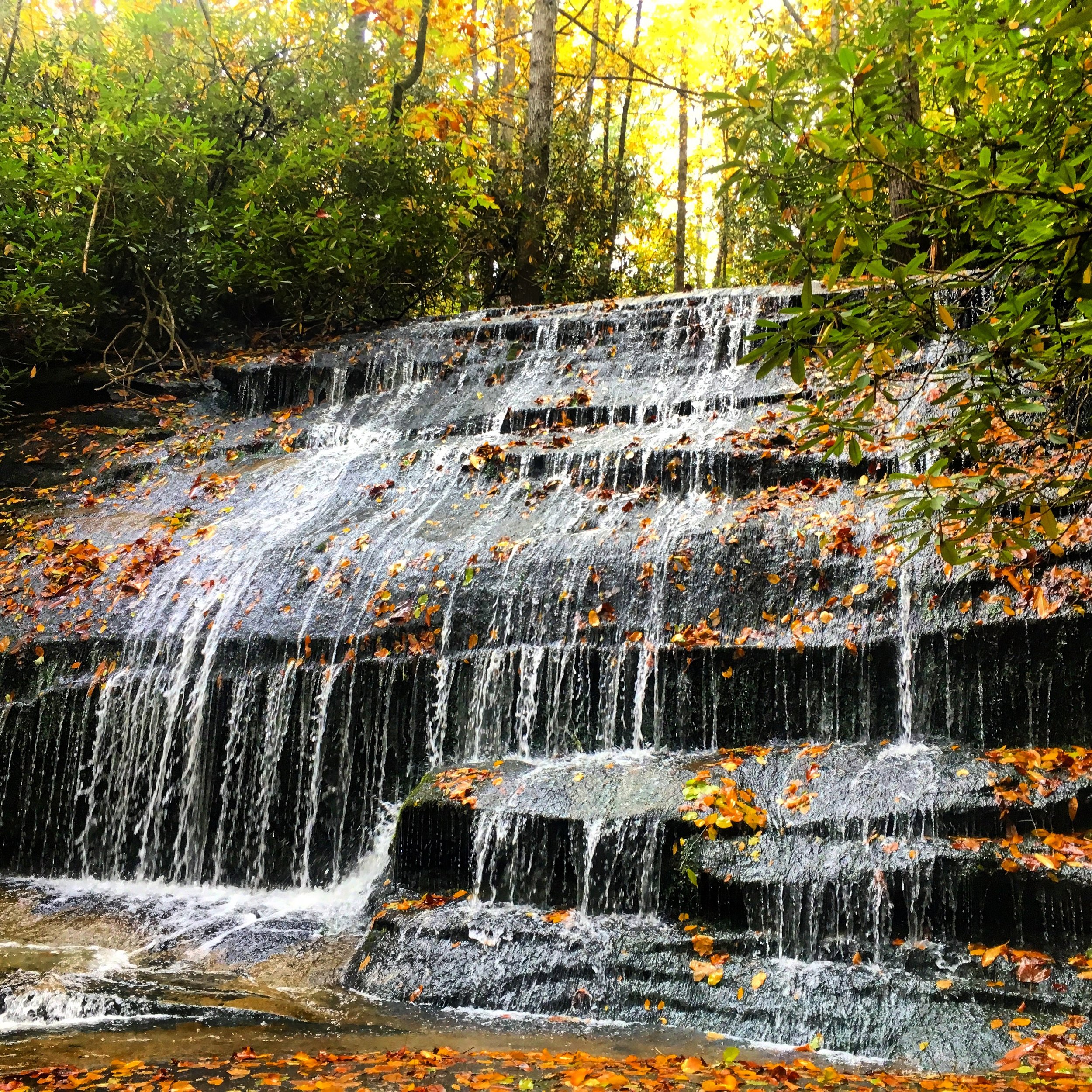 Awesome Waterfall on Butter Gap