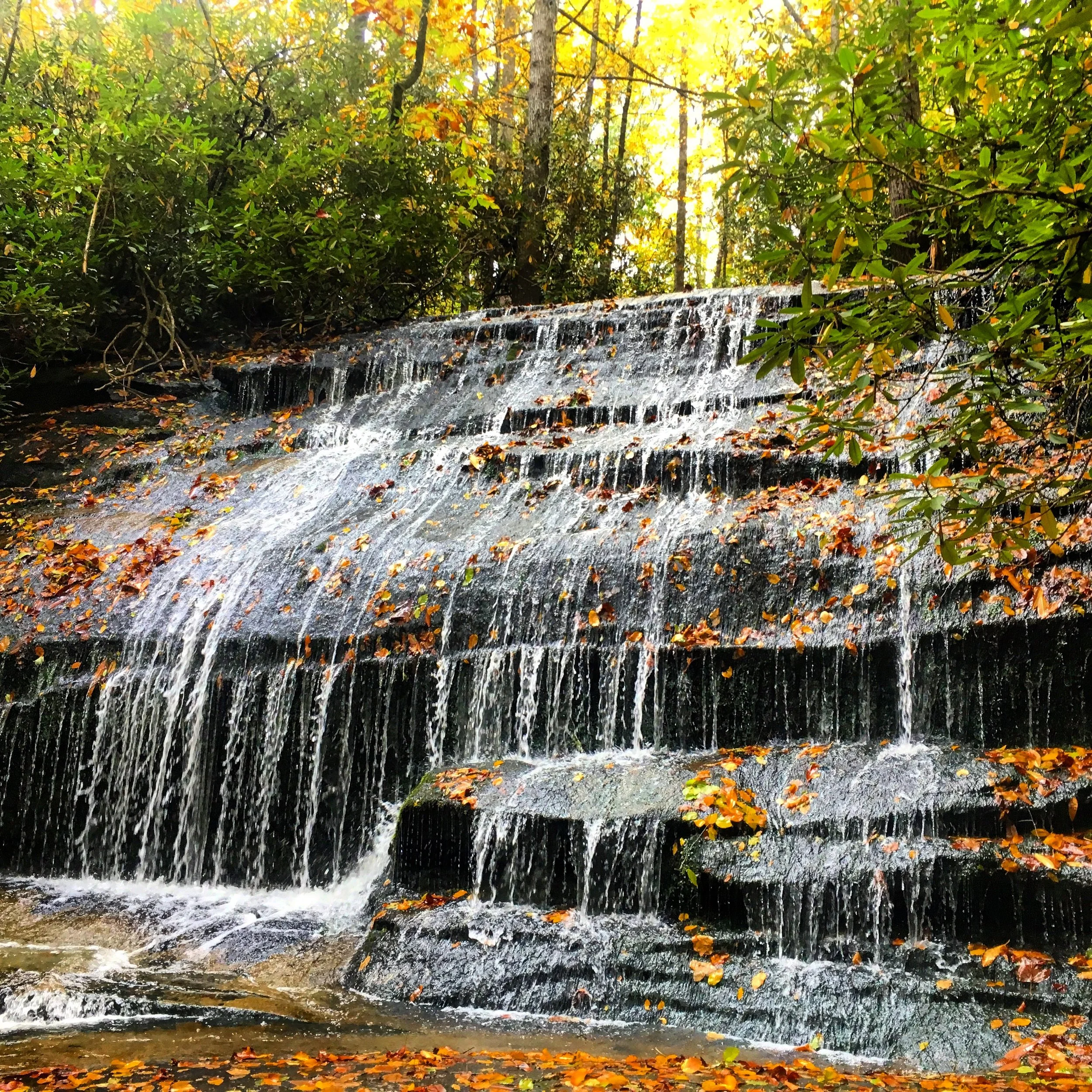 Awesome Waterfall on Butter Gap