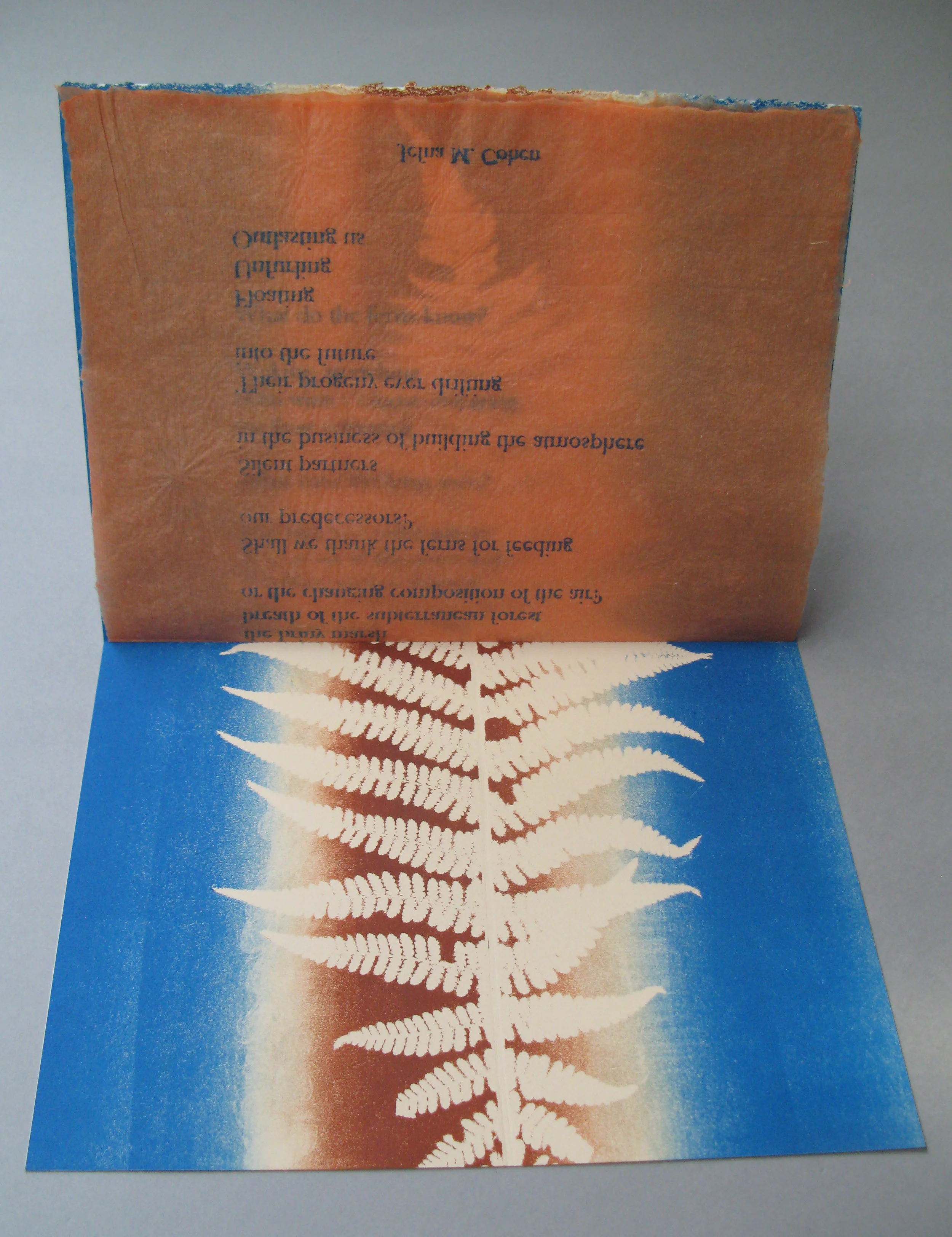 Fern_open2.jpg