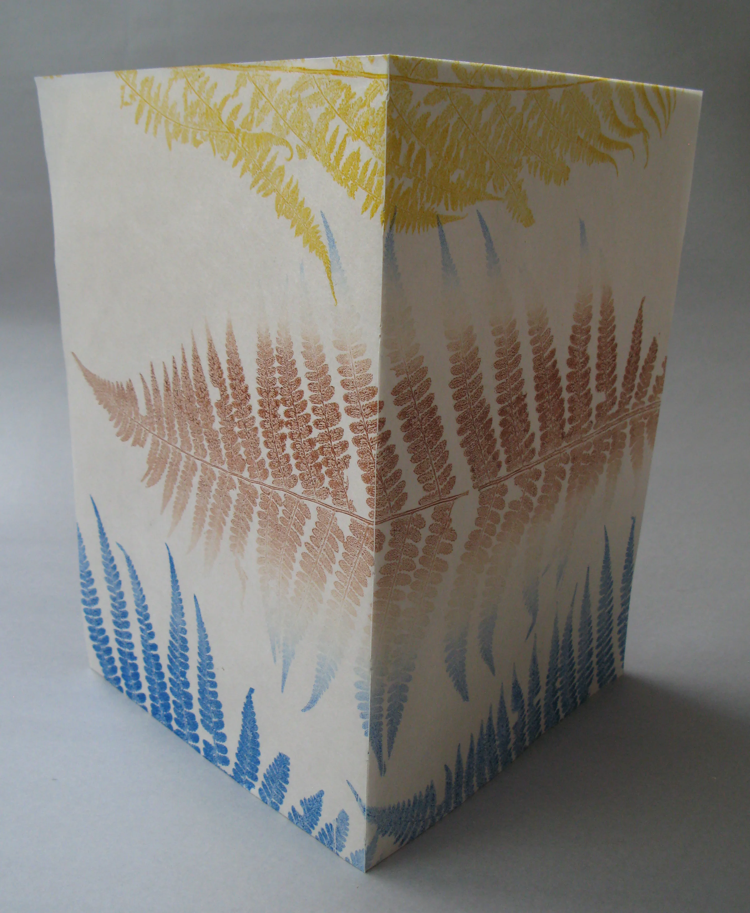 Fern_cover1.jpg