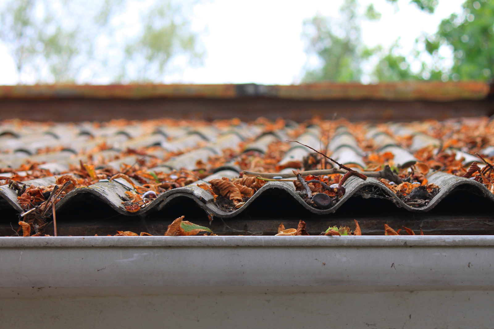 Home Maintenance Checklists by Season: Keeping Your Home in Top Shape Year-Round