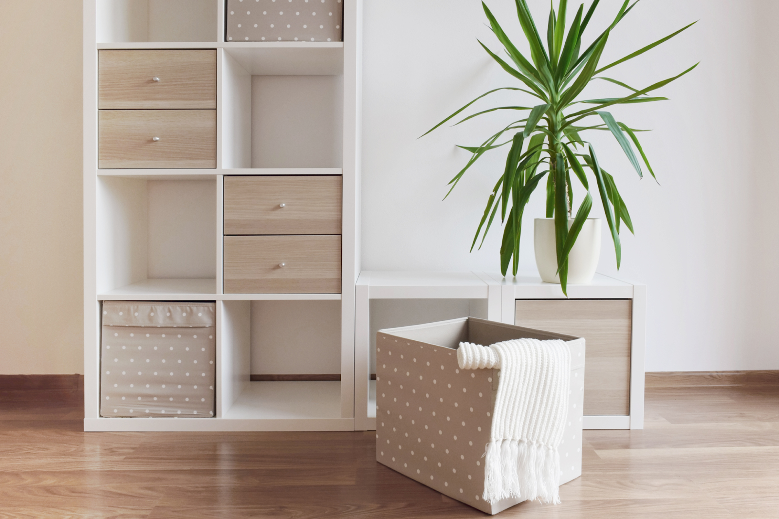 Maximizing Small Spaces: Clever Storage Solutions for Tiny Homes and Apartments