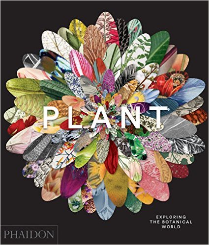 plant: exploring the botanical world