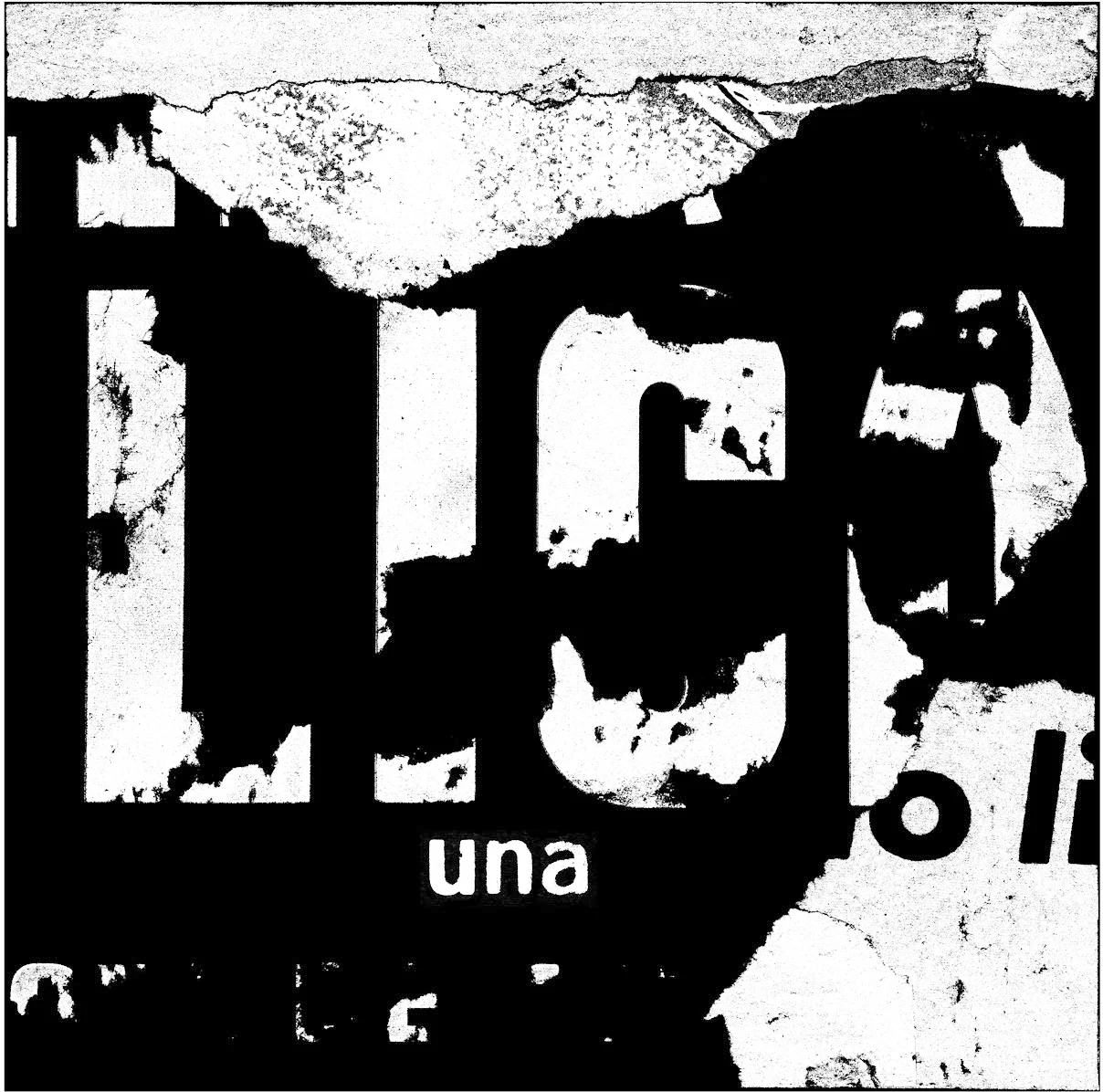Meier_UNA_1-copy.jpg