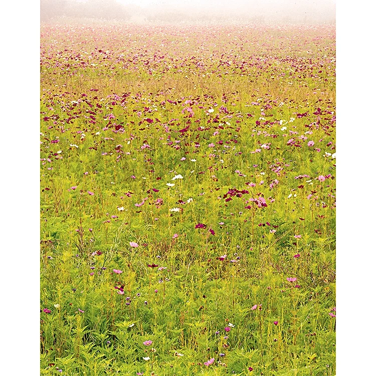 flowerfield wl lr.jpg