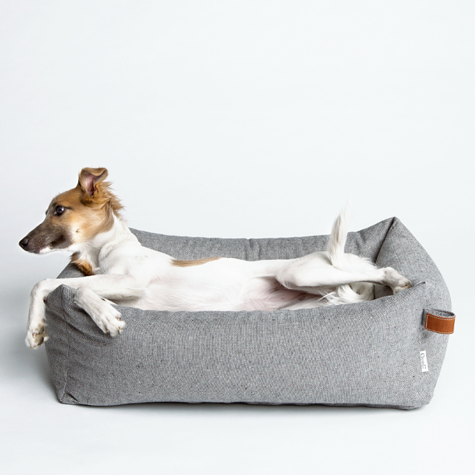 cloud 7 dog bed