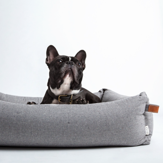 cloud7 dog bed.png