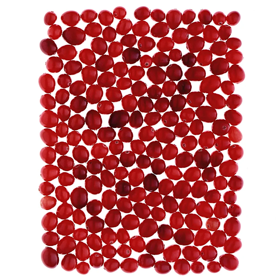 ©w.ludes.cranberries.jpg