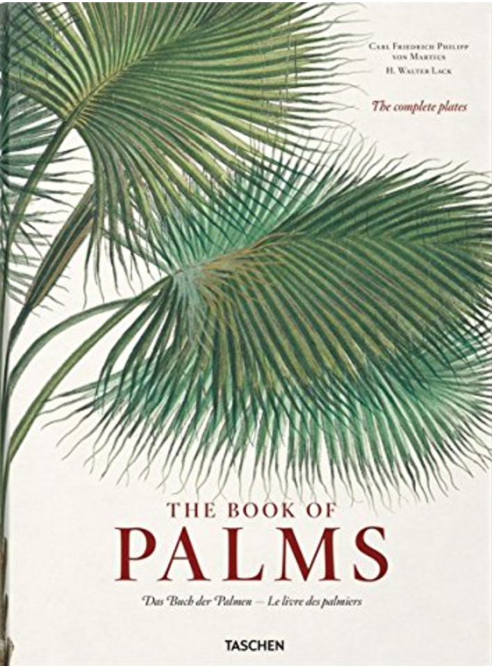 the book of palms