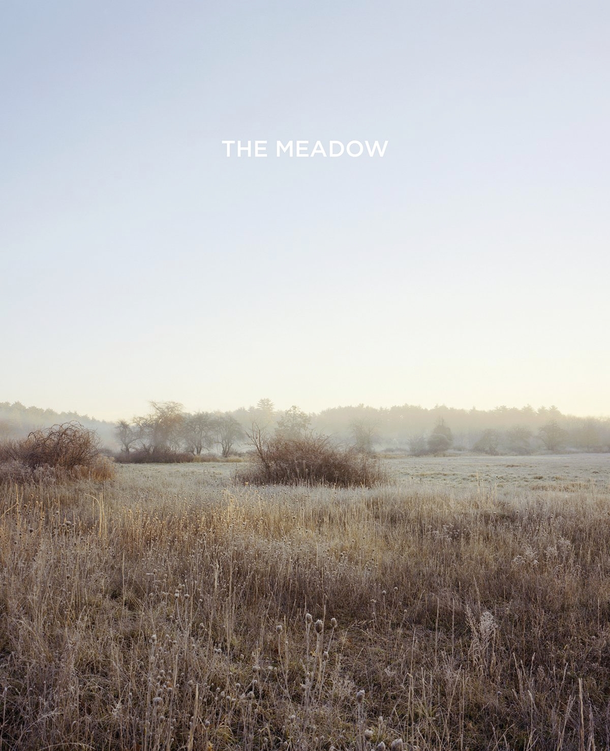 bosworth & kelley: the meadow
