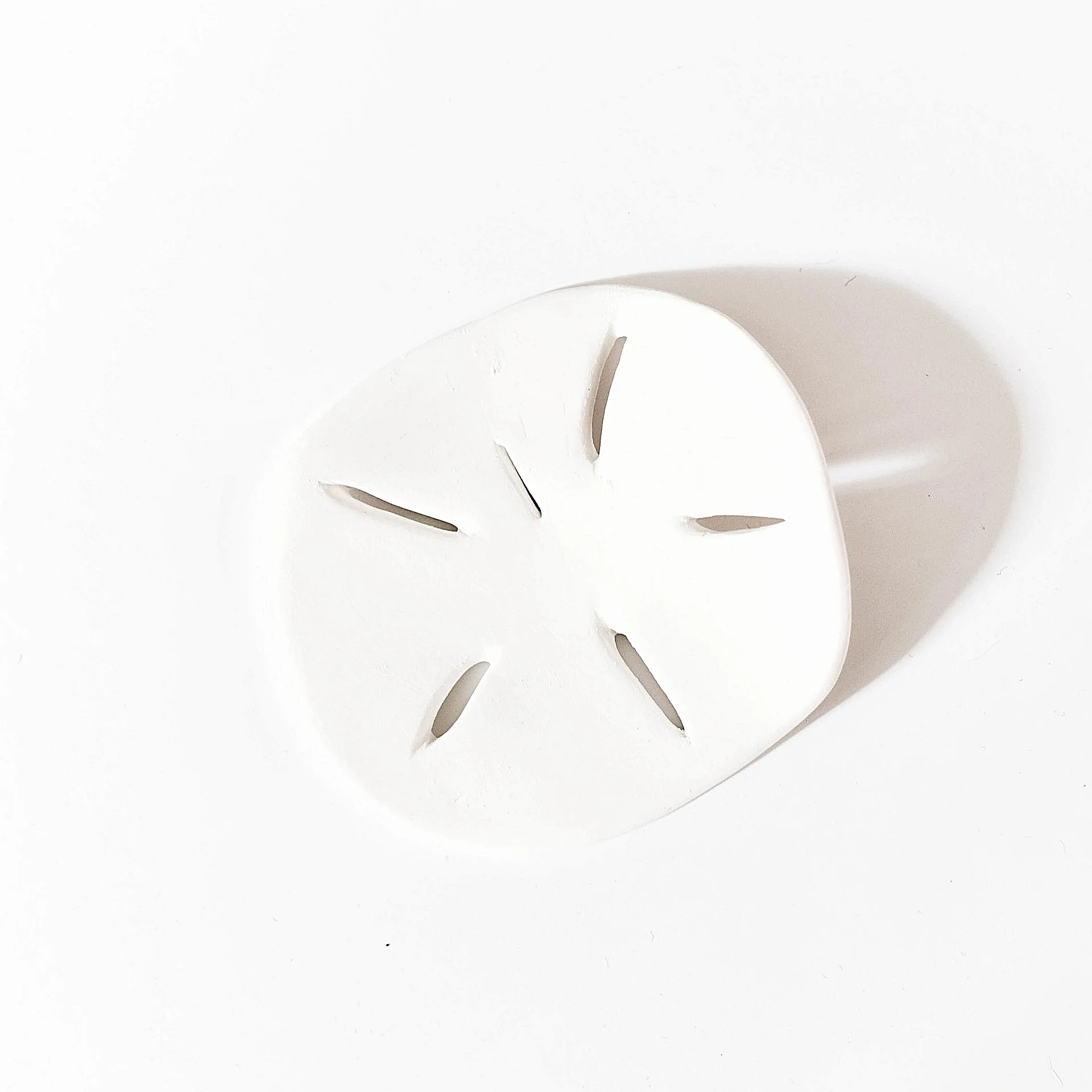 cg sand dollar2.jpg