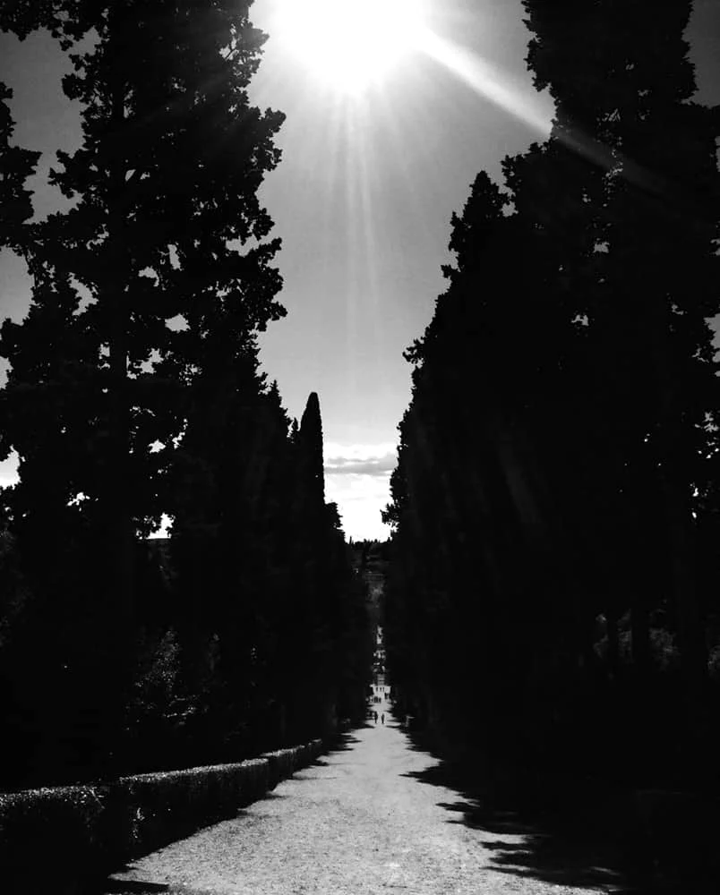 villa erta canina florence