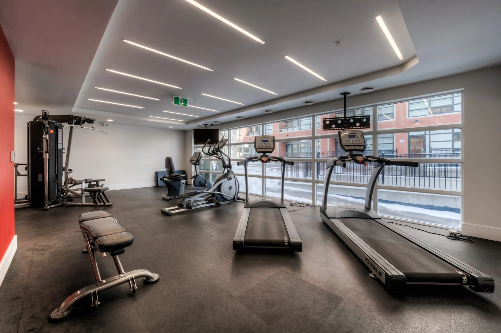 4b 020-155stLeger300 (6).jpg