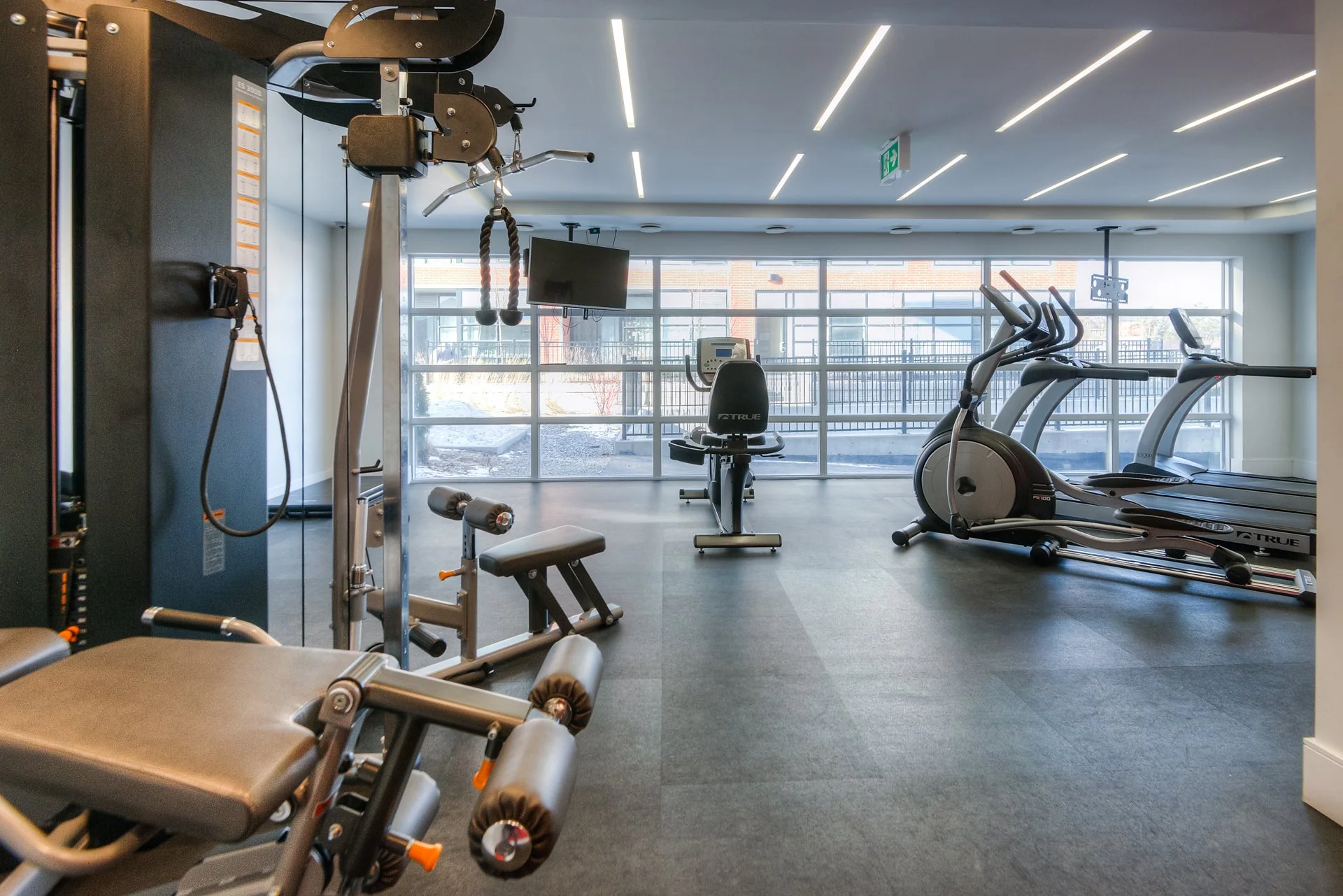 4b 012-155StLeger204 126.jpg