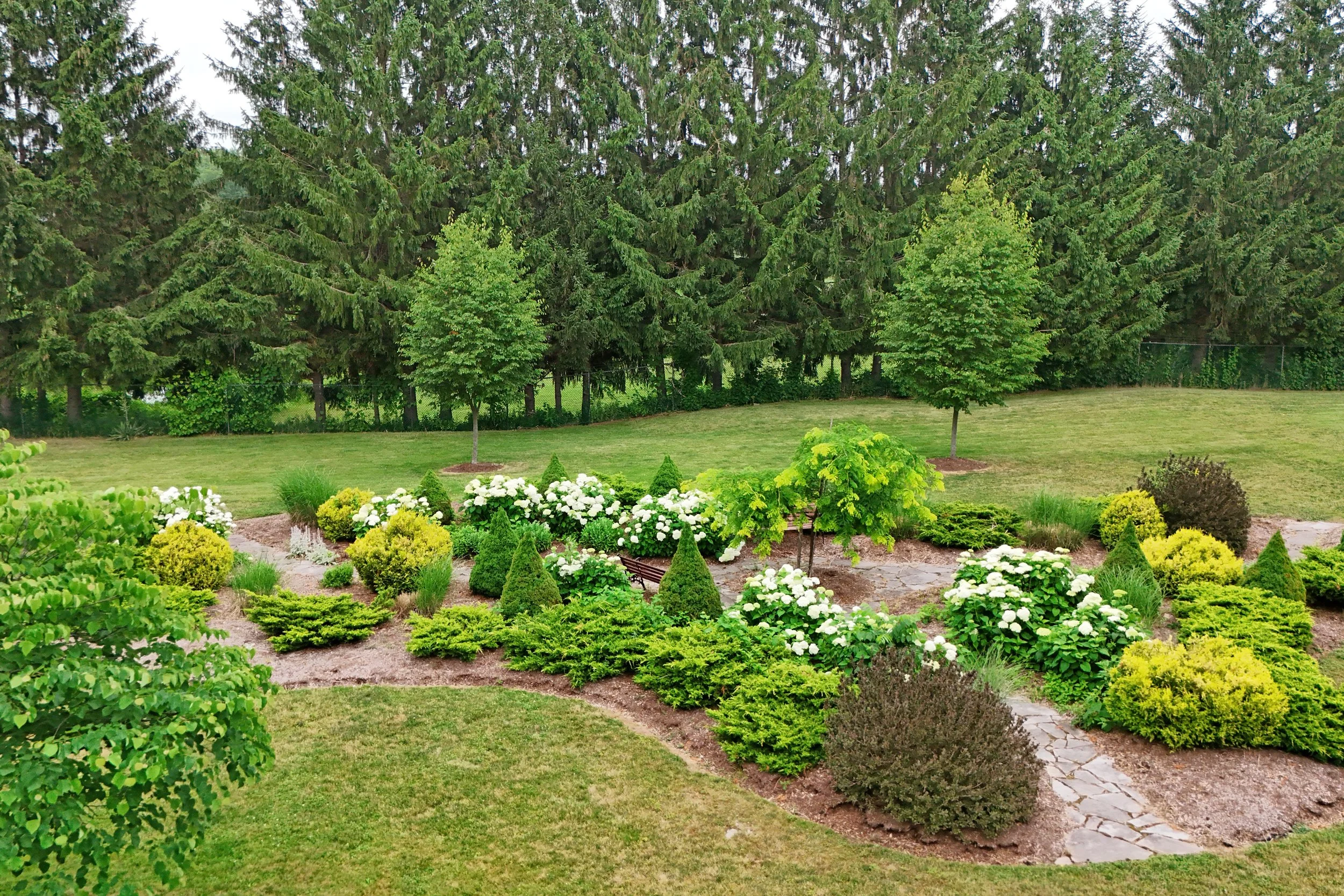 4DJI_20260704142025_0018_D.JPG