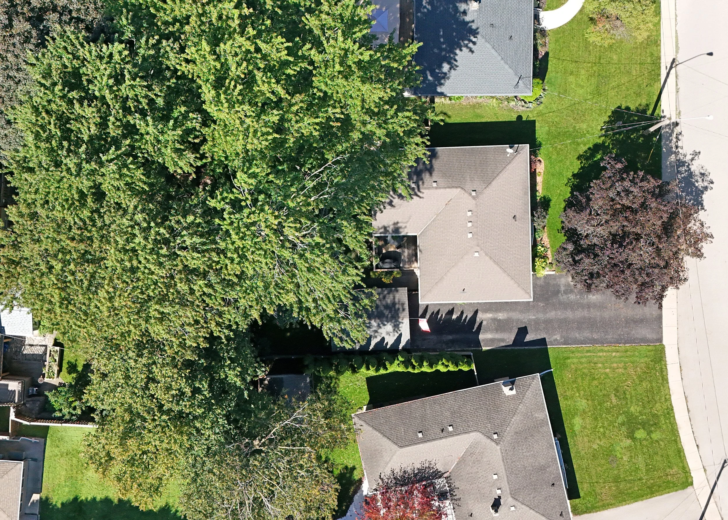 1DJI_20260914134047_0004_D.jpg