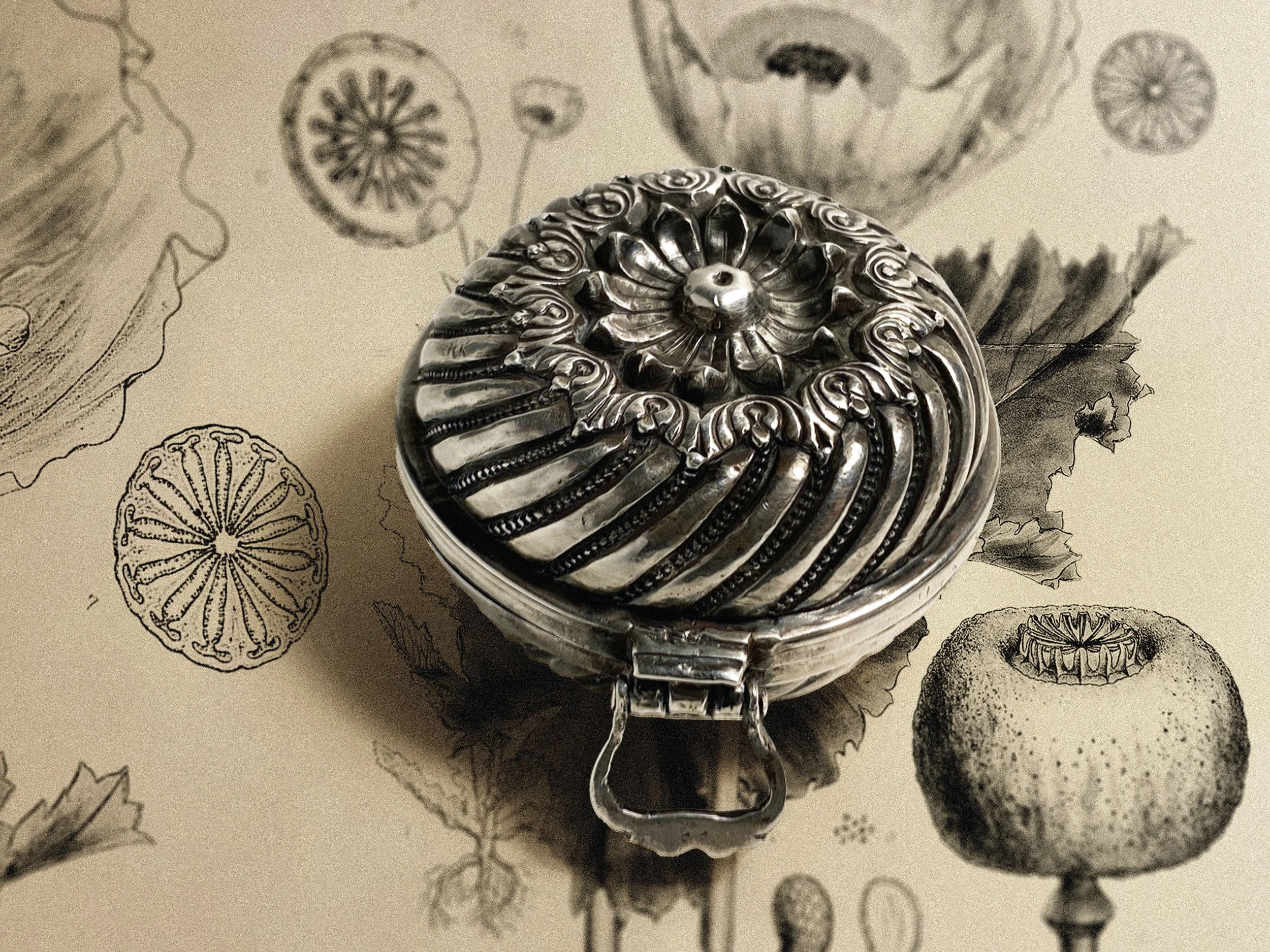 A gadrooned silver box atop a 19th century etching of poppy pods and blossoms