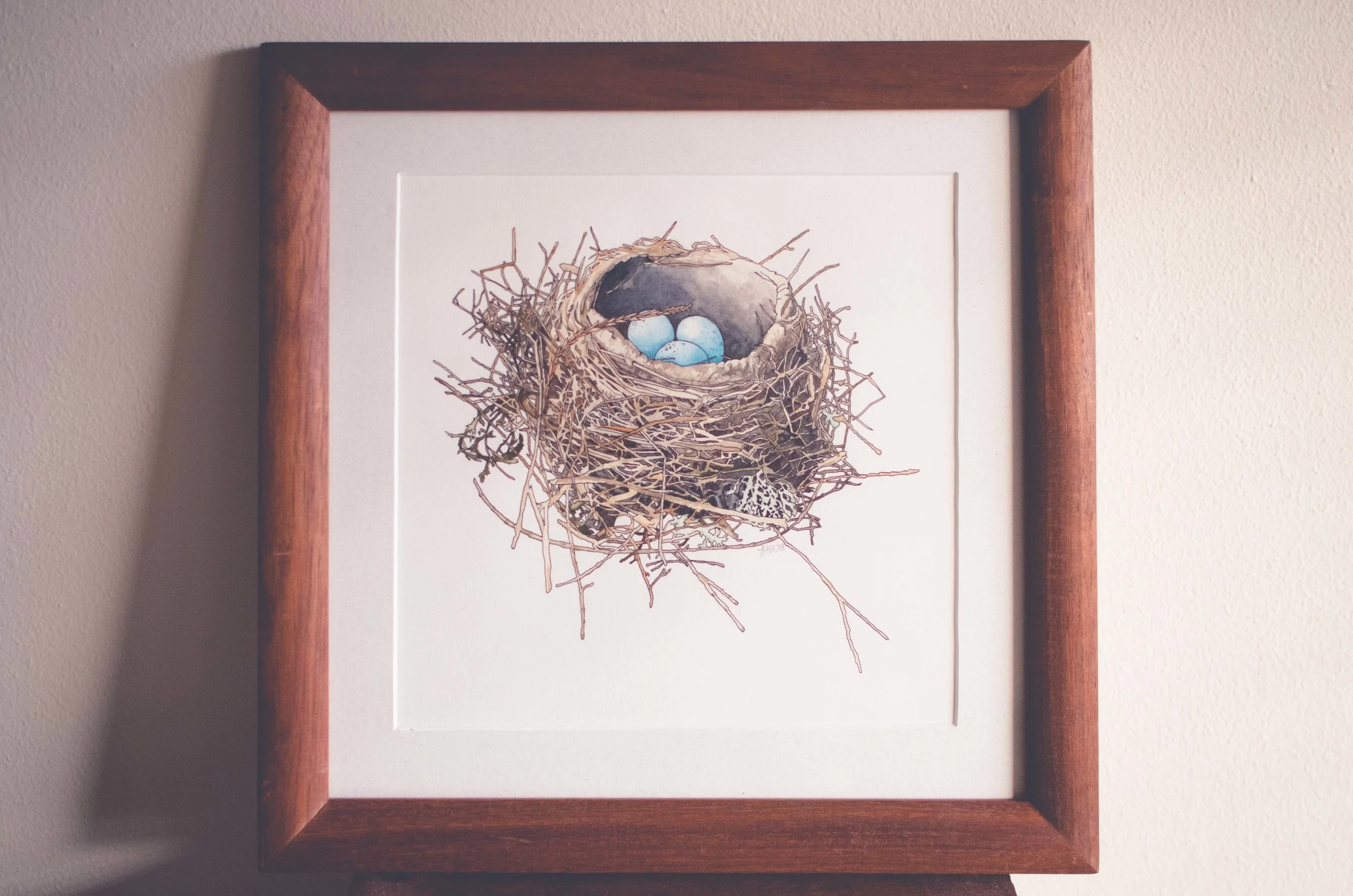 Framed by Dad and photographed by Brandon H.