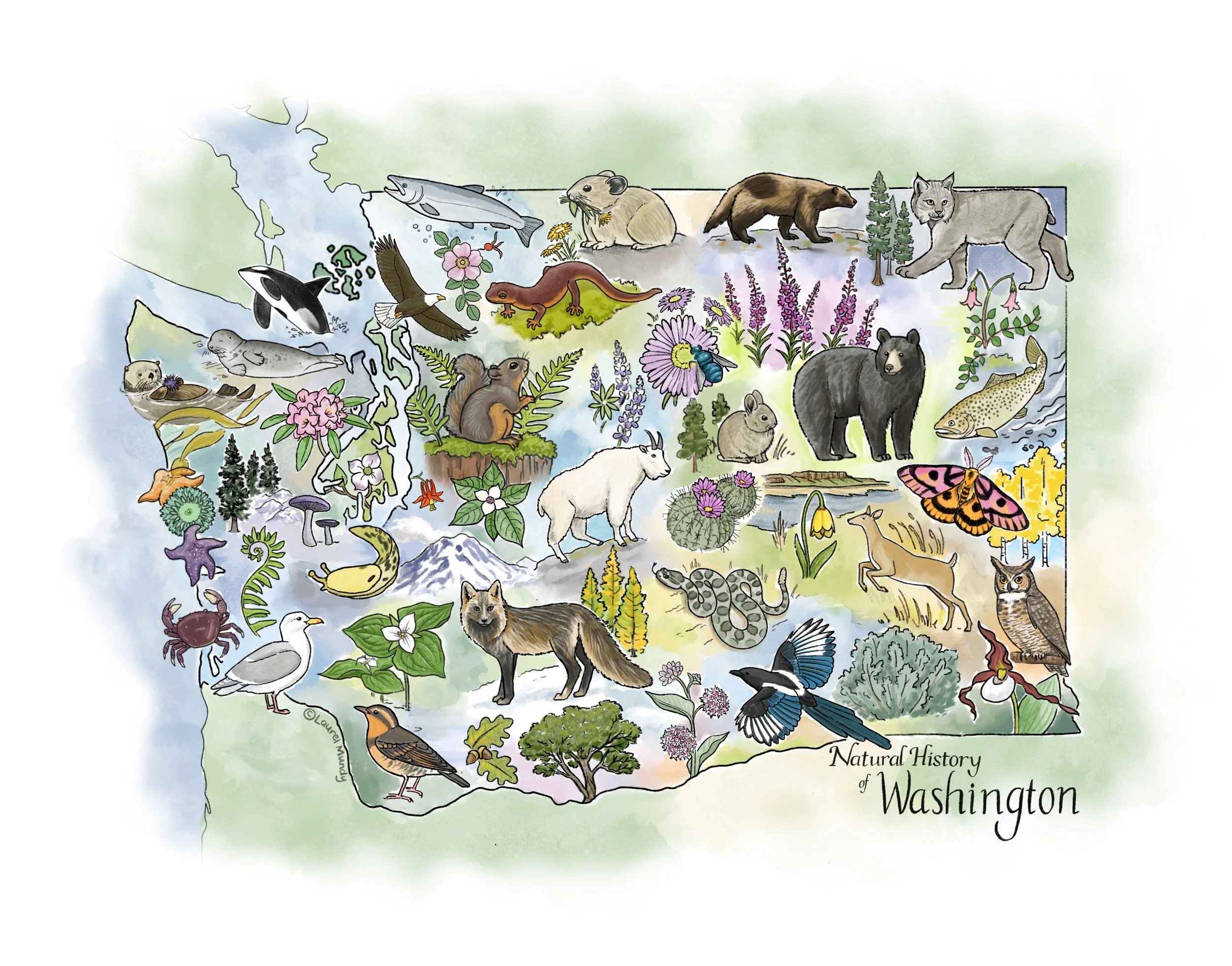 Wild_Washington 2 copy.jpg