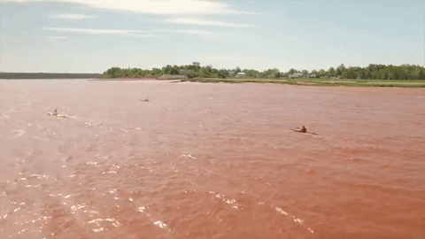 Canoe To The Sea 2016 – Video