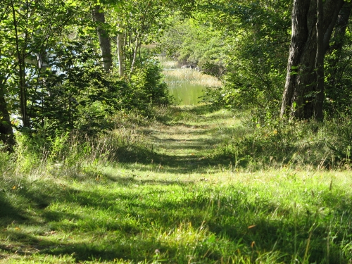 Incline Plane at Porto Bello