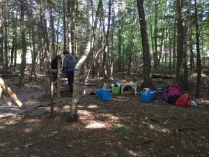 Public Dig at Shubie Park