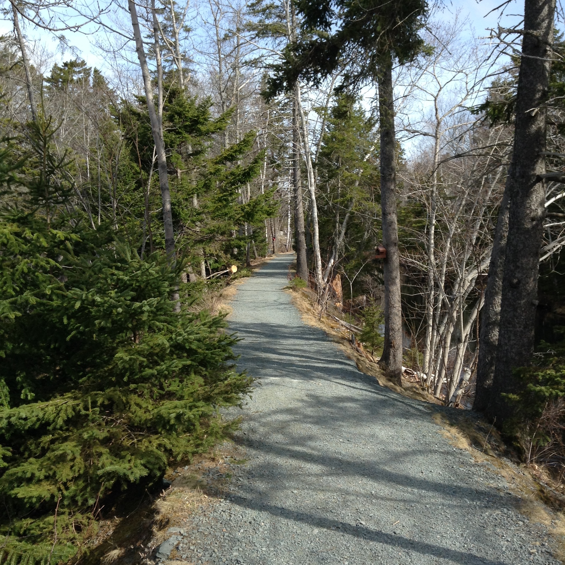 Man-made bank in Shubie Park