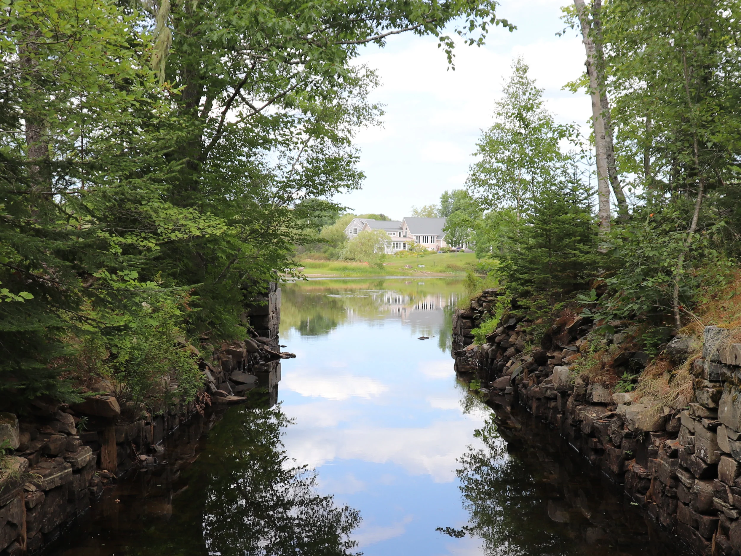 IMG_4426 cropped.JPG