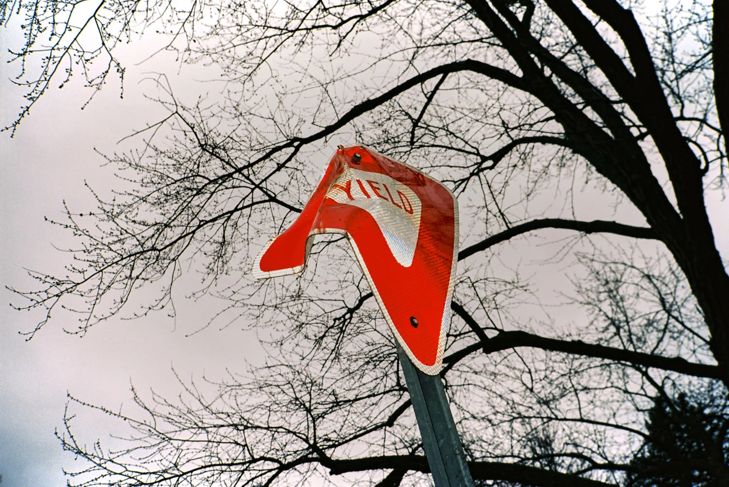 yield, suburban detroit, 2016