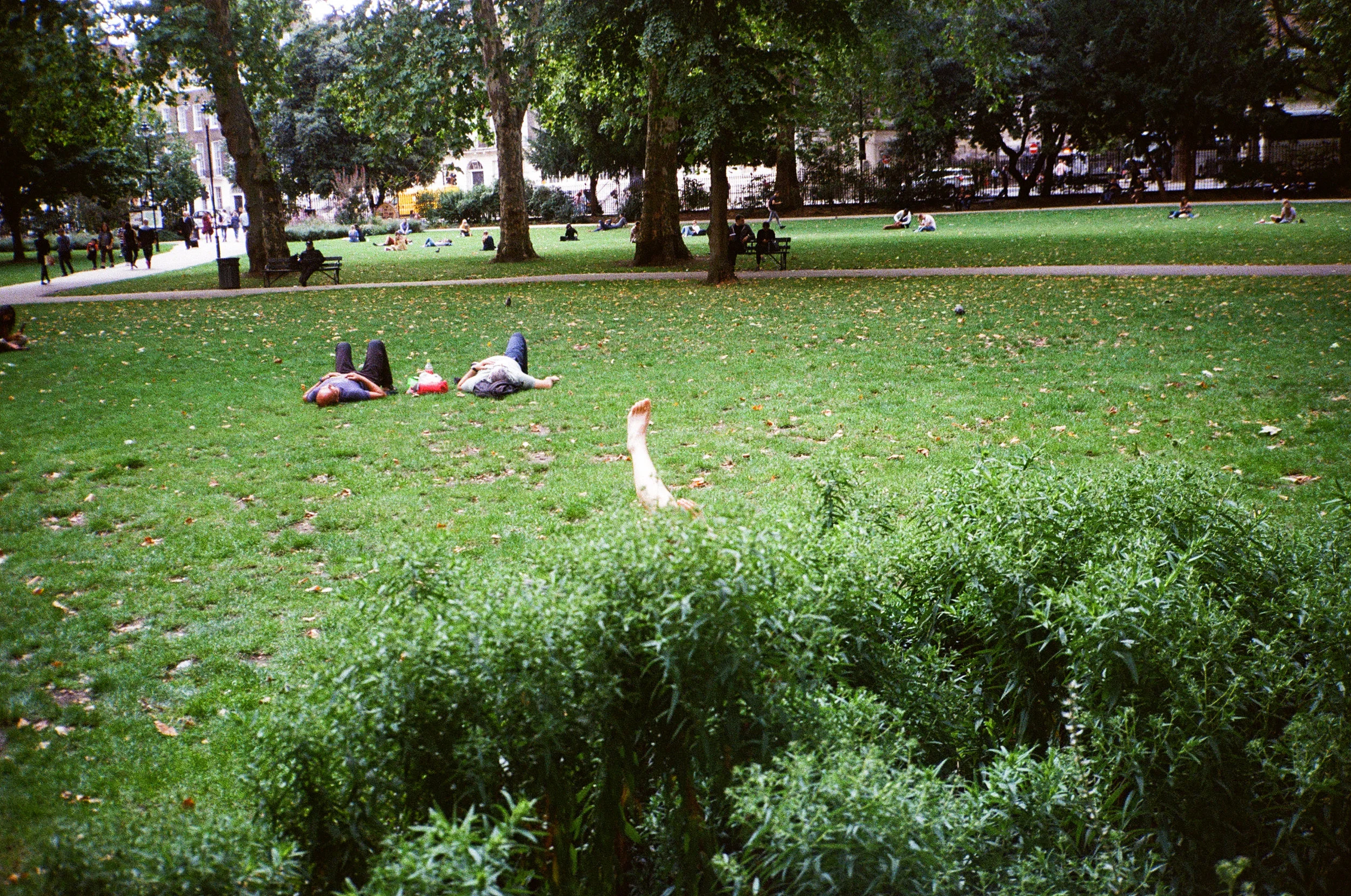 1124.jpg