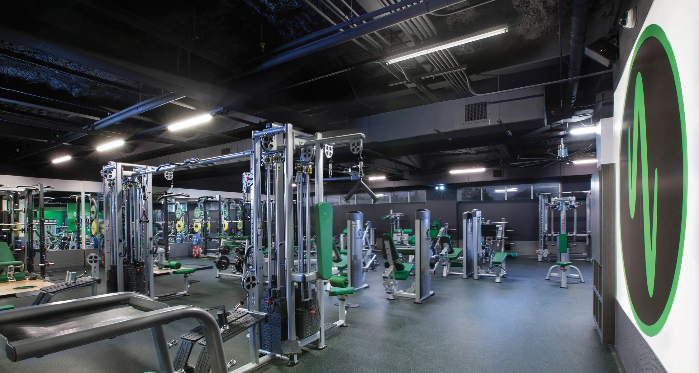 Atlas Fit_12.jpg