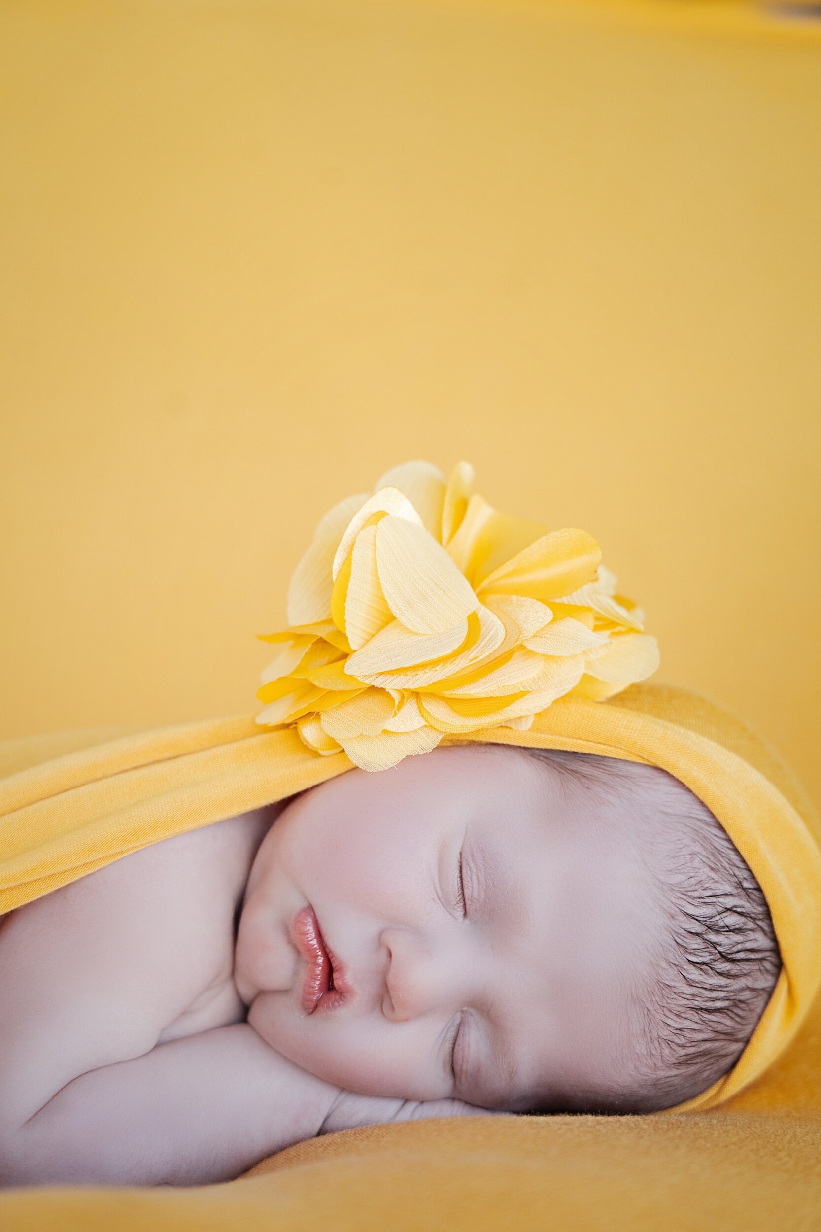 DSC06121Arrow Roberts.jpeg