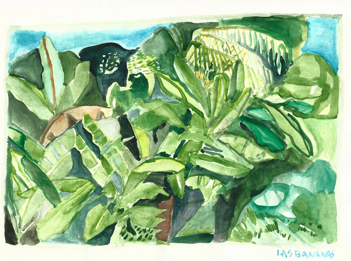 las bananas.jpg