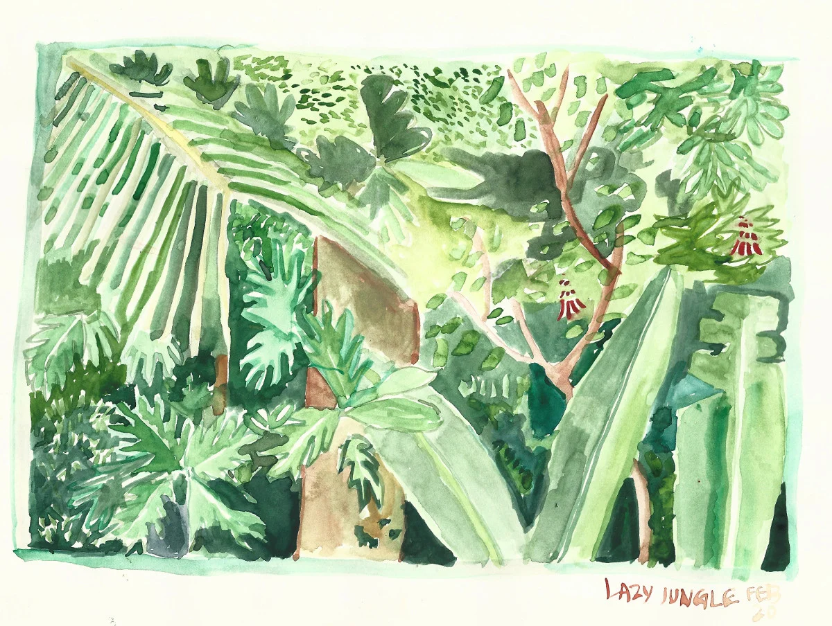 lazy jungle.jpg