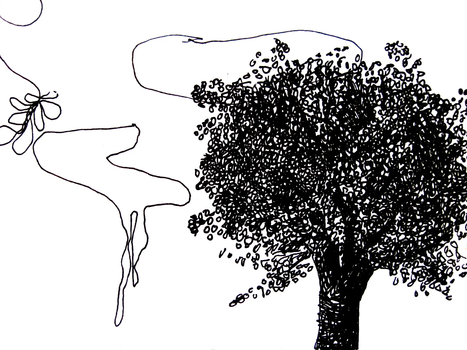 curly_tree2.jpg