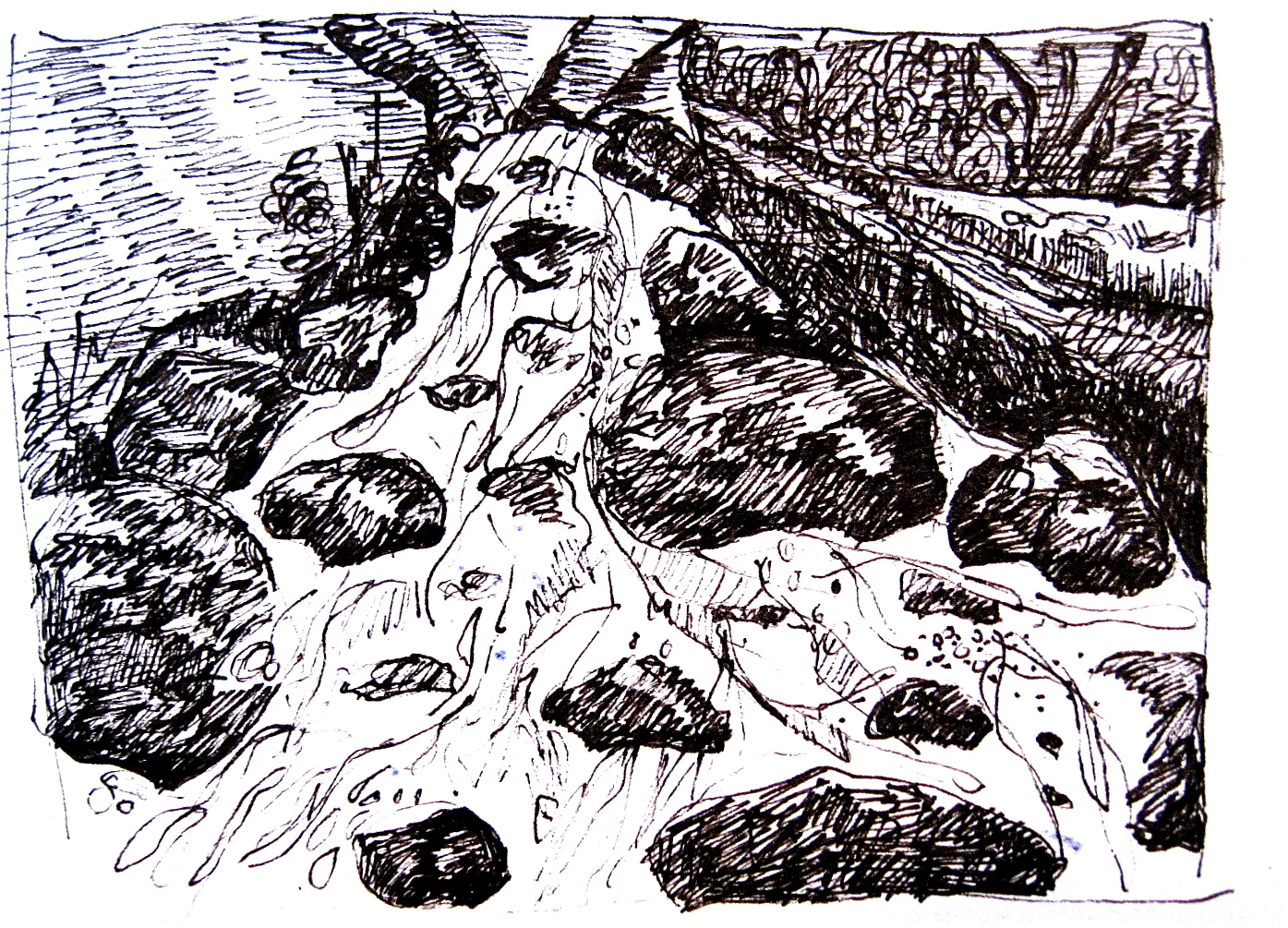 streambed.jpg