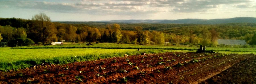 The Anthill Farm in Honesdale, PA (photo by Lawrence Braun)
