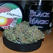 JAHnetics San Francisco Cannabis Delivery