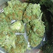 JAHnetics San Francisco Cannabis Delivery
